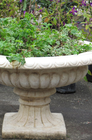 The Faraway Garden Cheshire Jardinière is a classically elegant planter inspired by the distinctive designs of the Regency period, featuring egg-and-dart detailing to the rim and gadrooning to the bowl.  The urn is the perfect ornament for lining terraces and steps or can be used as a focal point in a garden walkway when placed on a Faraway Garden pedestal to gain extra height and impact. 