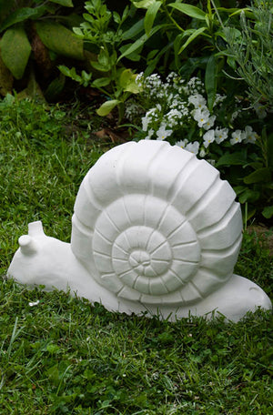 Faraway Garden Snail