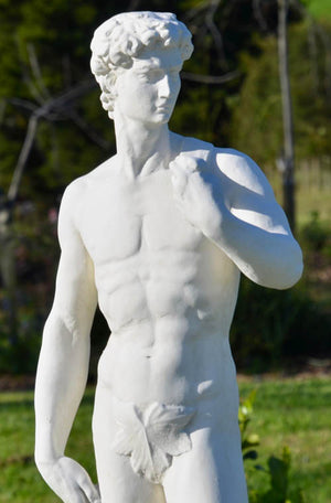 The Faraway Garden David is a statue replica of the famous Renaissance masterpiece by Florentine artist Michelangelo. He is a Renaissance interpretation of a common ancient Greek theme of the standing heroic male nude and has become one of the most recognised works of Renaissance sculpture, and a symbol of strength and youthful beauty. This statue looks wonderful raised on one of our pedestals.