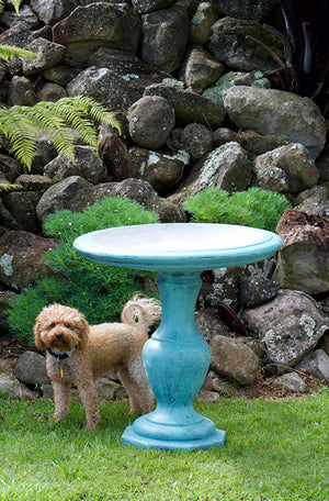 This elegant and impressive pedestal bird bath is a beautiful showpiece in any garden setting; from a more formal rose garden or rolling lawn to a position nestled in a rambling herbaceous border. Choose our sepia treatment for an aged effect.