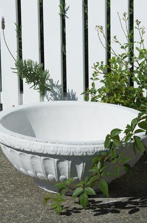 The Faraway Garden Delphine Bowl Planter is a beautiful garden object with detailed moulding to the rim and gadrooning to the bowl. This bowl looks wonderful in our sepia wash for an aged effect. See images below for our Delphine bowl in various colour options and on pedestals.
