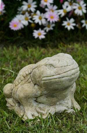 Faraway Garden Bell Frog