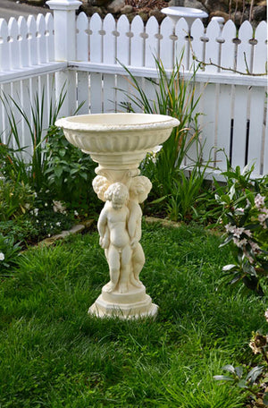 This classical pedestal bird bath is a beautiful showpiece for any garden setting featuring a gorgeous three cherub base holding up a stunningly fluted bowl. Perfect in a more formal garden or nestled in a rambling herbaceous border. Wonderful in sepia for an aged effect (as pictured).