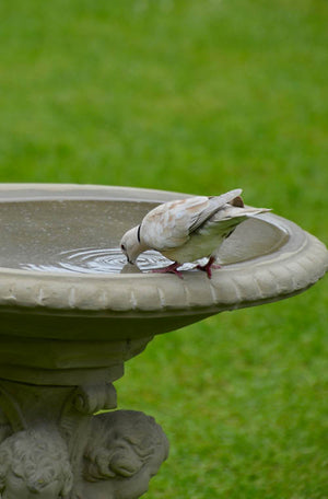 Faraway Garden Cherub Bird Bath