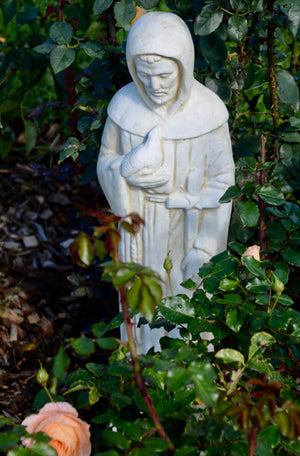 Faraway Garden St Francis of Assisi is one of our guardian statues as he is the patron saint of animals and natural environment, therefore a perfect addition to any garden setting. He is pictured below in Sepia.