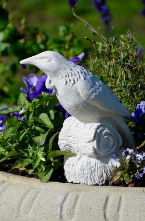 Celebrate one of NZ’s magnificent native bird characters, the Tui with a handcrafted statue from Faraway Garden.  The much-loved, boisterous bird of forest and town with its distinctive white throat tuft (poi), ranging vocals and whirring flight.